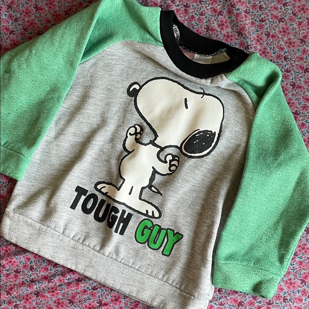 Peanuts Snoopy Sweatshirt - Green & Gray